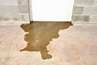 雨が降った後カビくさい